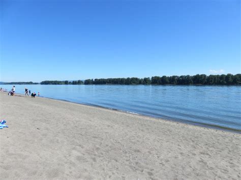Biggest selection · over 6 million rentals · search, compare and save Collins Beach on Sauvie Island | Outdoor Project