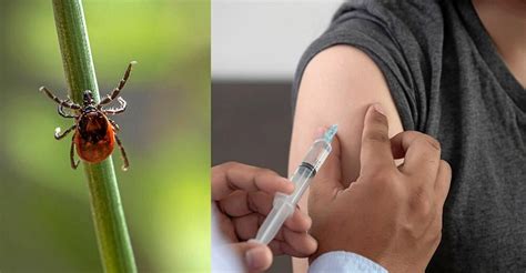 Ställ en fråga du får gärna skriva till oss om du har frågor, vi svarar vanligtvis inom några dagar. TBE-vaccin - så många doser ska du ta | Land