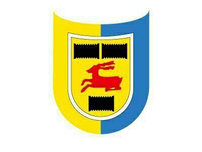 Put them on your website or wherever you want (forums, blogs, social networks logo and kit sc cambuur. Pin op Leeuwarden!