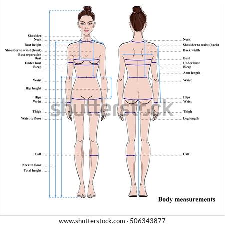 ✅this is a great chart for foods that detox your body! Woman Body Measurement Chart Scheme Measurement Stock ...