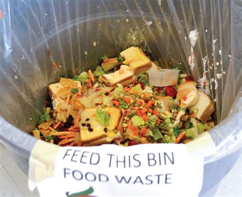 Reducing hunger by engaging our community to create access to food because no one should be hungry. Team Green Tea's Goal: "Spill the Tea" about Food Waste ...