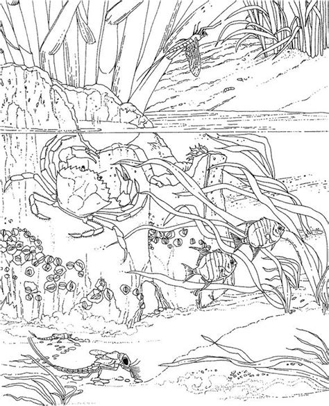 670 x 820 file type: Seascape - Ocean Coloring Page