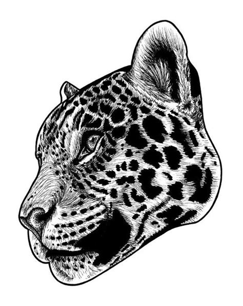 Maybe you would like to learn more about one of these? Jaguar Illustration Art Print by Loren Dowding in 2020 ...