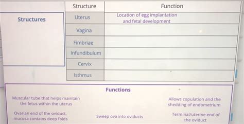 Spongy urethra the spongy urethra is the longest of the three sections. Solved: Structure Function Structures Ductus Deferens Pros ...