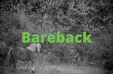 bareback slang definitions