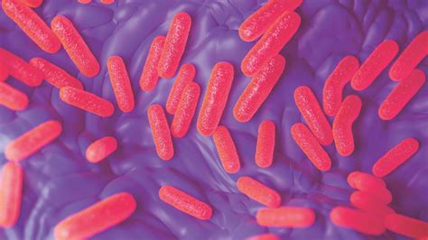 Laboratory protocol isolation of salmonella spp. Wykrywanie Salmonella spp. w produktach żywnościowych ...