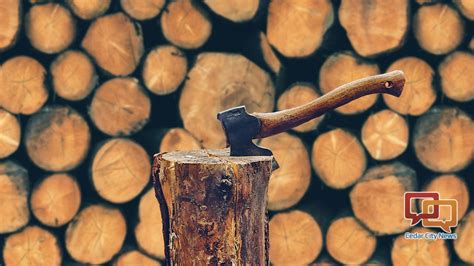 At ny nj firewood, we guarantee to offer quality firewood that is seasoned and split. Free firewood offered in the Brian Head burn area - St ...