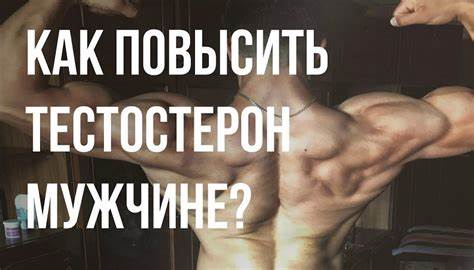 Как похудеть тестостерон