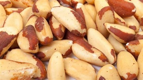 İçinde bolca e ve b vitaminin yanı sıra magnezyum barındıran brezilya cevizinin asıl dikkat çeken özelliği ise yüksek oranda selenyum içermesi. Brezilya cevizi faydaları : Tek doğal selenyum kaynağı ...