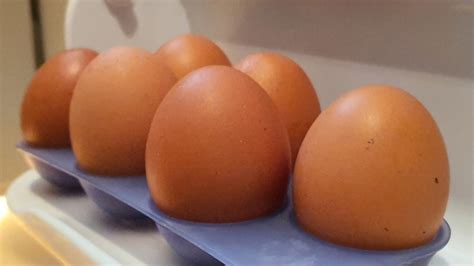 Hard boiled eggs still in their shell will remain tasty for about a week. How Long Are Hard Boiled Eggs Good For - Jumping Pumpkin