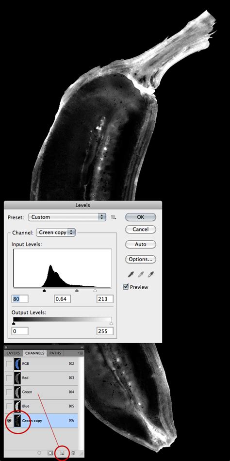 Maybe you would like to learn more about one of these? Quick Tip: How to Simulate X-Ray Photography in Photoshop