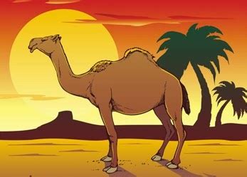 Jelajahi koleksi unta, kartun, royaltyfree gambar logo, kaligrafi, siluet kami yang luar biasa. KUMPULAN GAMBAR UNTA PADANG PASIR | Gambar Onta Lucu di ...