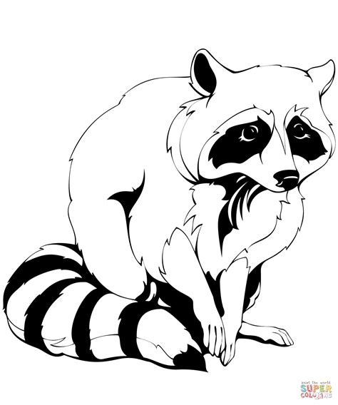 October 30, 2016 by kawarbir. Raccoon coloring page | Free Printable Coloring Pages