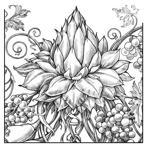 Tropical flowers coloring pages are a fun way for kids of all ages to develop creativity, focus, motor skills and color recognition. Pin on Mandala and Decorative Drawings