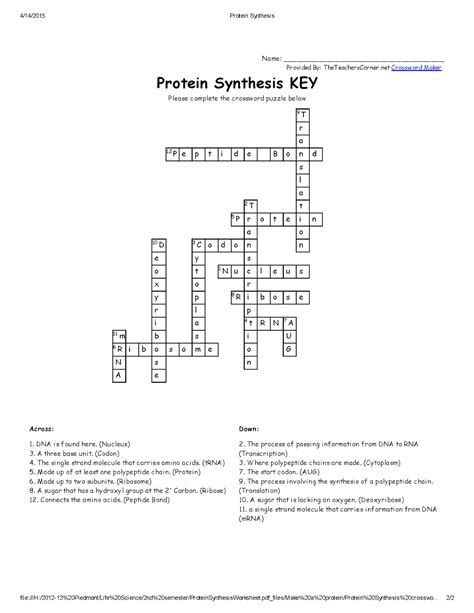 Performed series of tests to find out if transforming principle was dna or protein b. Worksheet Dna Rna And Protein Synthesis Chapter 6 9 Answer Key | Free Printables Worksheet
