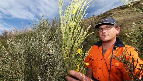 A regional council in south new zealand has decided to build upon the project, calling for as the submissions on the pest management plan is due to close at the end of october 2018, she and the council of auckland has a rule which puts down any cat caught in an ecologically significant site. Townies to share pest burden with rural residents | Stuff ...