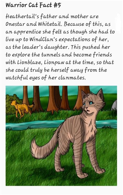 The official home of warrior cats by erin hunter. Warrior Cat Fact #5 | Warrior cats comics, Warrior cats ...