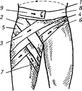 Методика наложения колосовидной повязки на плечевой сустав. Повязки на живот и таз - Хирургия