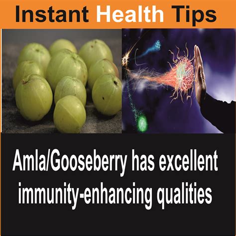 The high amounts of vitamin c boosts your immunity keeping diseases and infections at bay. benefits of gooseberry | Health tips, Health, Gooseberry