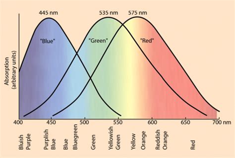 1.warna biru dicampur warna merah jadi warna apa 2.warna kuning dicampur warna pink jadi warna apa 3.warna hijau dicampur yang termasuk warna pokok atau warna primer, yaitu: Ini Bukan Warna Kuning | AJAR