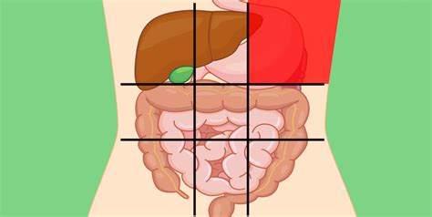 Doctors Share a Belly Map That Reveals What Can Make Your ...