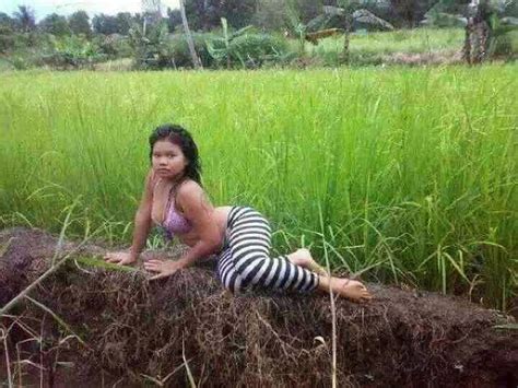 Check spelling or type a new query. Komentar Kocak Para Kaskuser Tentang Foto Cabe-cabean di Sawah - Asalasah