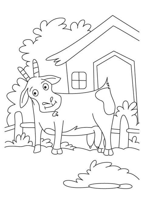 De tre bukkene bruse) is a norwegian fairy tale collected by peter christen asbjørnsen and jørgen moe in their norske folkeeventyr, first published between 1841 and 1844. The Three Billy Goats Gruff Coloring Pages - Coloring Home