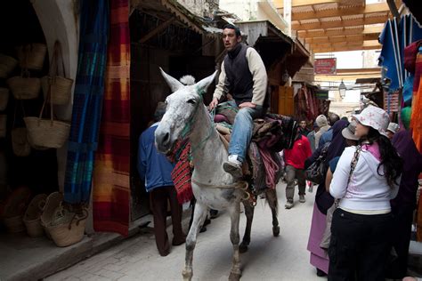 Medina is a community united by a common goal: Transporte en burro en la medina de Fez, Marruecos - El ...