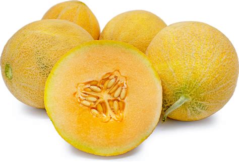 This is the time of year when we transition to our fields in california, so you may have noticed a bit of a kiss shortage, but we promise there is more to come! Sugar Queen Melon Information and Facts