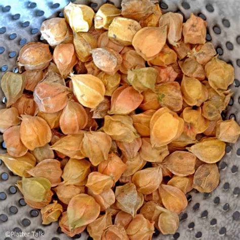 Wildlife attractant ground cherries are native to the us and are prolific. Ground Cherry Cofee Cake - Platter Talk