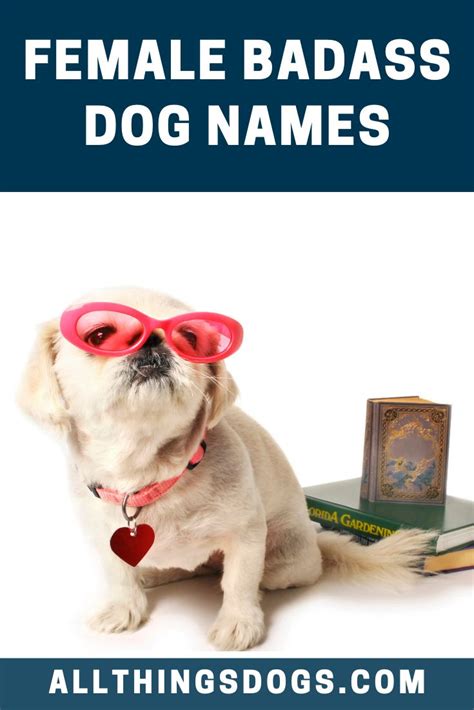 A great list of names from the bible, taken from the 19th century public domain resource. Pin on Dog Names by Gender