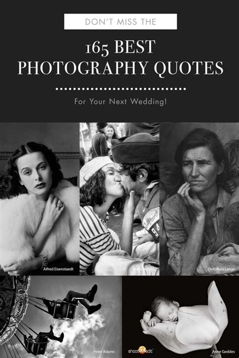 Check spelling or type a new query. 165 of the Best Photography Quotes from Top Photographers | Quotes about photography, Amazing ...