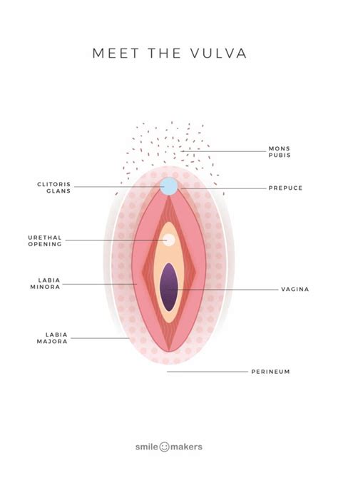 An intimate part, personal part or private part is a place on the human body which is customarily kept covered by clothing in public venues and conventional settings. Female Private Part Diagram / Vaginal Cysts Information Mount Sinai New York / Popular female ...