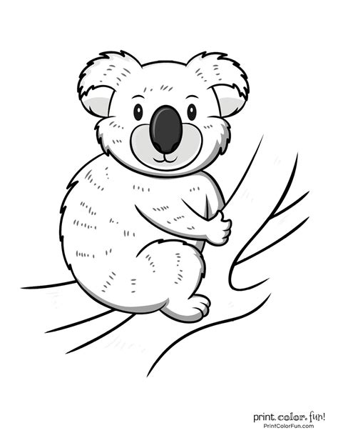 734x949 cheap koala coloring pages online koalas cute pics free c. 10 free cute Koala coloring pages - Print Color Fun!