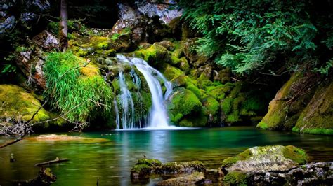 Find the best cool nature backgrounds on wallpapertag. Cool HD Nature Wallpapers Group (90+)