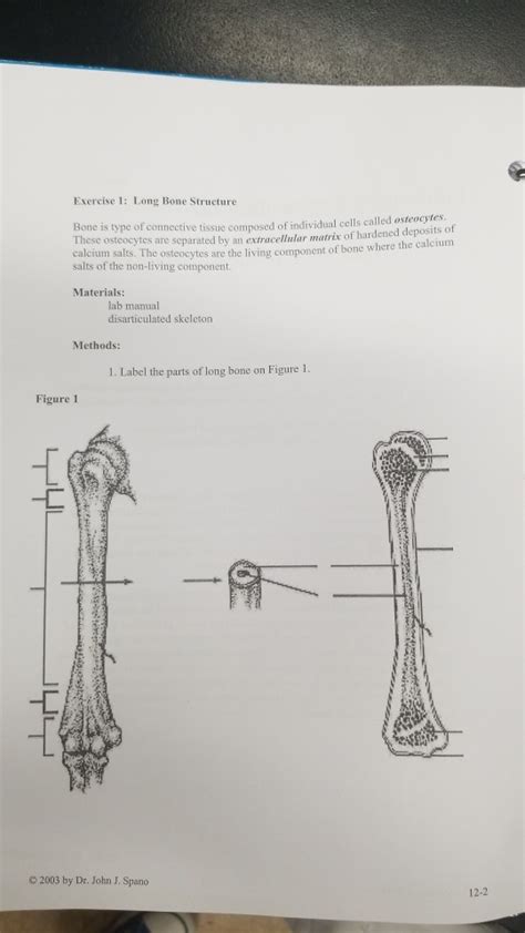 Oct 16, 2020 · label a long bone shannan muskopf october 16, 2020 anatomy students in traditional classes may do practice labeling the bone on paper or even doing a coloring activity to help them learn the parts of the bone. 31 Label The Parts Of A Long Bone - Label Ideas 2020