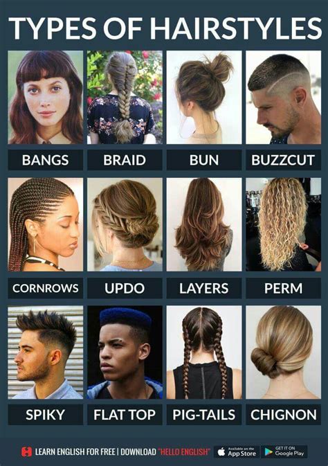 Check spelling or type a new query. Types of hair | Learn english, English vocabulary, English ...