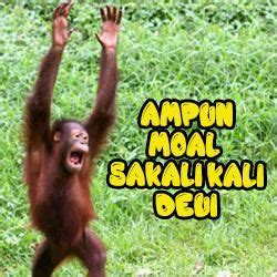 Prank temen minta pap tt. Gambar Kata Kata Lucu Monyet https://ift.tt/2yEkY2k di ...