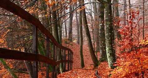 Söderåsen national park from the swedish environmental. Before you come | Visitor information | Söderåsen National ...