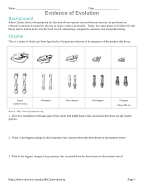 How could natural selection lead to evolution? studylib.net - Essys, homework help, flashcards, research papers, book report and other