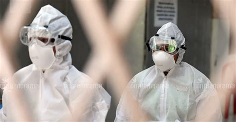 At least 10 people in kerala have died due to nipah virus encephalitis, a rare but emerging infectious disease. Nipah patient on recovery path, no fever for last 48 hours | Kerala News | Manorama English