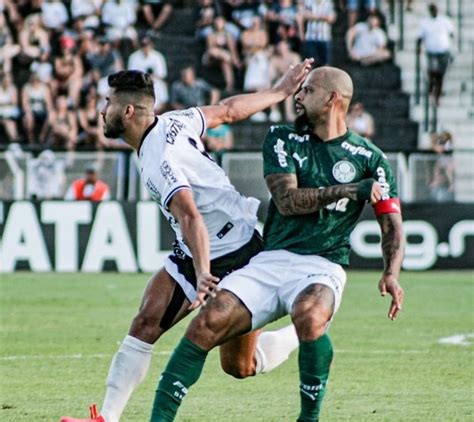 Negócio concretizado no são paulo! Em tarde inspirada de Rafael Pin, Palmeiras fica no zero ...