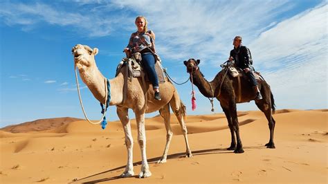 The ride goes over a plain, passing rocks and sand dunes and through the villages timganine and seghdrar. Riding Camels in the Sahara! 🐪 Merzouga Morocco Travel ...
