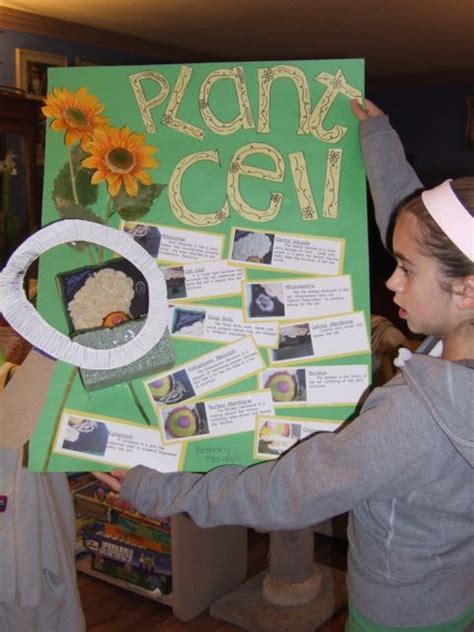 We did not find results for: Plant cell project | Plant cell project, Cells project ...