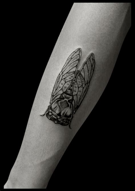 Check out our cicada tattoo selection for the very best in unique or custom, handmade pieces from our tattooing shops. cicada ENGRAVING - Αναζήτηση Google | Cicada tattoo ...