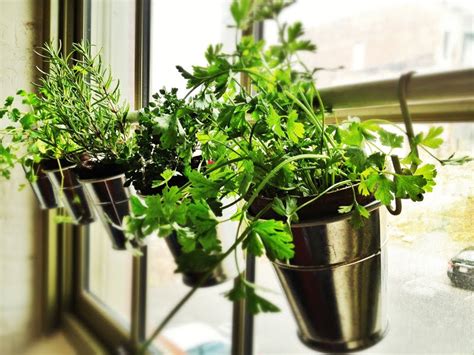 Make your terrace or balcony stylish and way more comfortable to walk on with outdoor flooring. 15 Phenomenal Indoor Herb Gardens