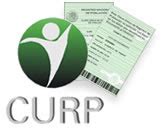 Consulte su curp en pocos segundos. Gratis Consulta Curp por internet para imprimir