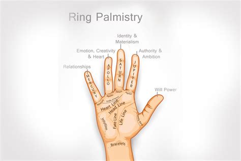 Bekher, and bikhrah (isaiah 60:6; Ring Palmistry - Meaning of Fingers for Rings（画像あり）