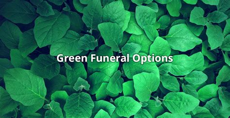 Green burial tech, as it's known within the industry, comes in many forms today. Six Eco-Friendly Ideas for a Green Funeral | Funeralocity