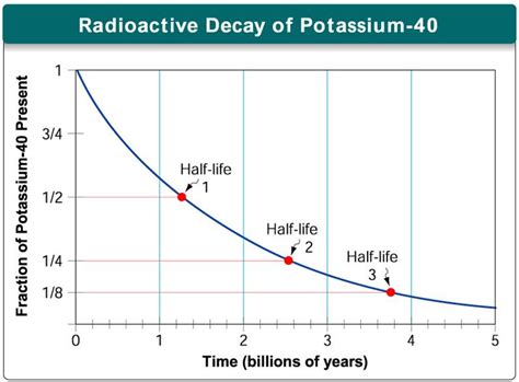 It is a radioactive isotope is naturally occurring radioactive decay processes. Biology 1 > Lauer > Flashcards > The History of Life ...